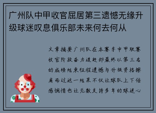 广州队中甲收官屈居第三遗憾无缘升级球迷叹息俱乐部未来何去何从